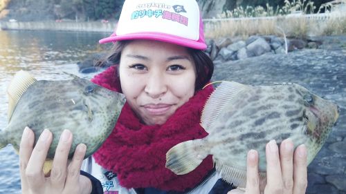 釣果情報：2021年1月11日沼津。冬の肝パン良型カワハギ!ようやく釣りシーズン到来です！