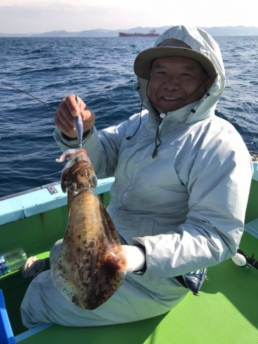 18日。アオリイカの釣果‼︎