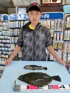 ヒラメとクエ：短時間で釣っちゃった！！