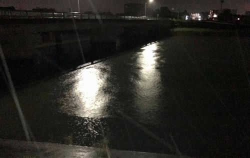 夜釣り　衣浦シーバス　釣果報告　岡崎大樹寺店