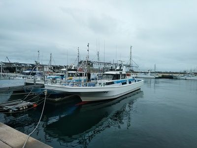 鹿島沖で夜イカ釣り　２０２１