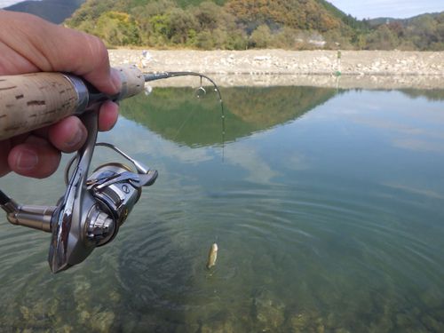 NEW釣り場「NEOGAWA管理釣り場」初釣行　最終話＆散財