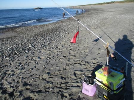 貧釣果の中田島！