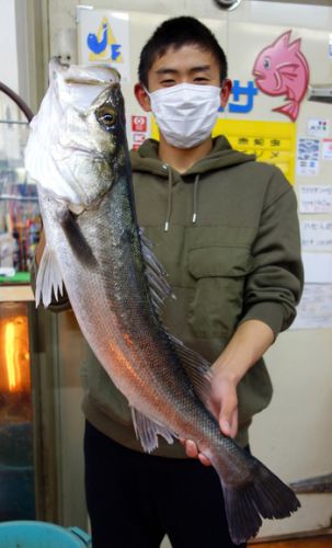 中学生アングラーがやりました！　浜名湖　良型シーバス釣れました